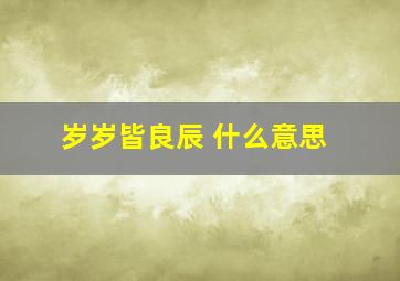 岁岁皆良辰 什么意思